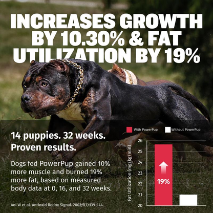 PowerPup 3-in-1 Muscle Builder
