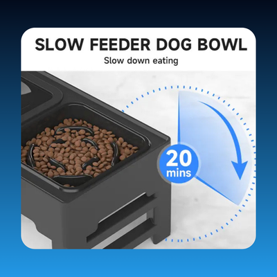 Elevated Pet Bowl Feeder
