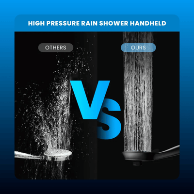 2-in-1 Rainfall and Handheld Shower Head