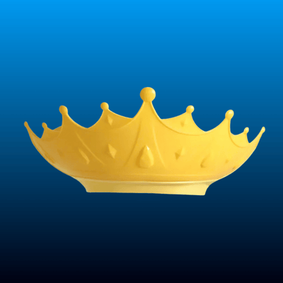 Crown Shower Cap Shield for Children
