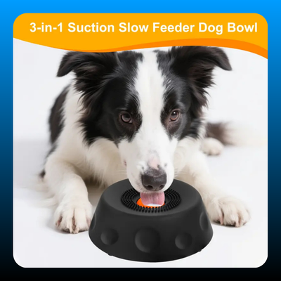3-in-1 Suction Slow Feeder Dog Bowl
