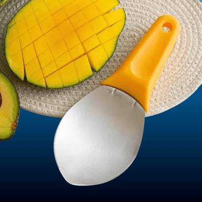 Stainless Steel Curved Fruit Knife and Scoop
