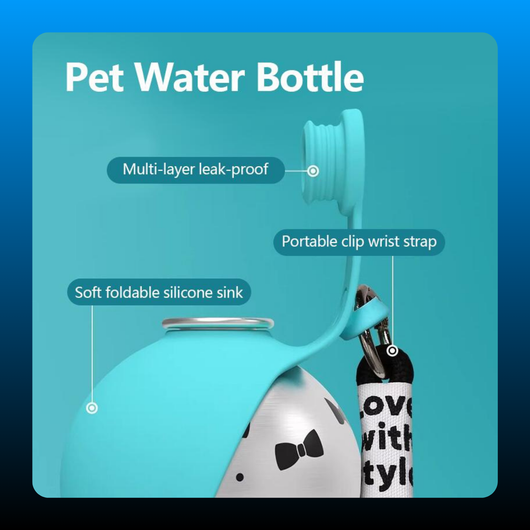 3 in 1 Stainless Steel Pet Water Bottle Keychain