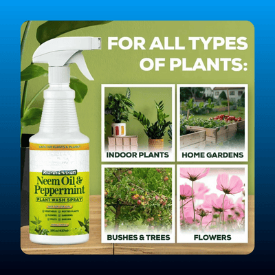 Neem Oil Plant Spray with Peppermint