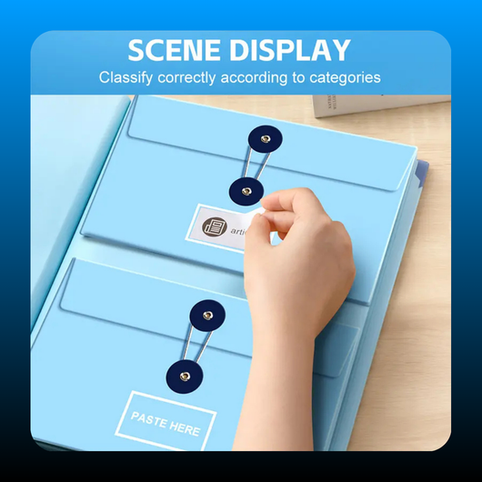 Accordion File Organizer Folder