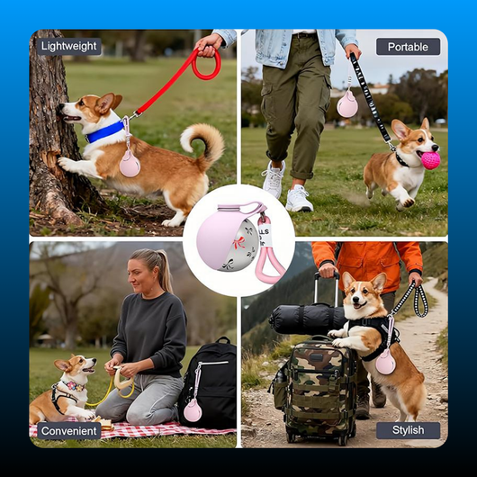 3 in 1 Stainless Steel Pet Water Bottle Keychain