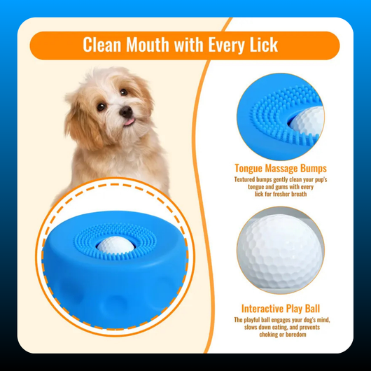 3-in-1 Suction Slow Feeder Dog Bowl