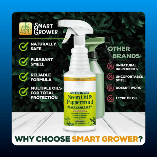 Neem Oil Plant Spray with Peppermint