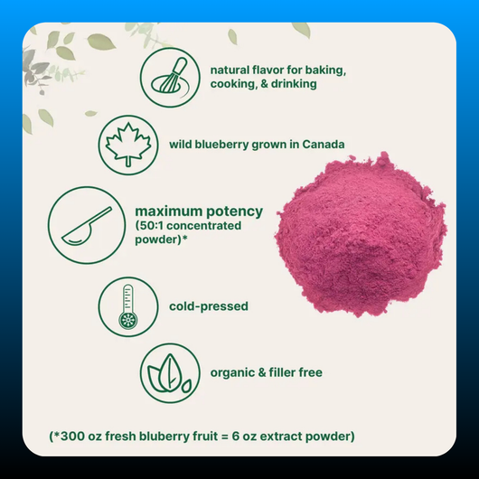 Organic Blueberry Extract Powder