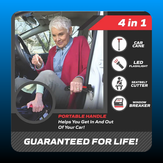 All-in-One Car Cane Door Handle