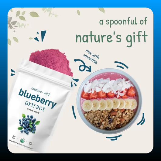 Organic Blueberry Extract Powder