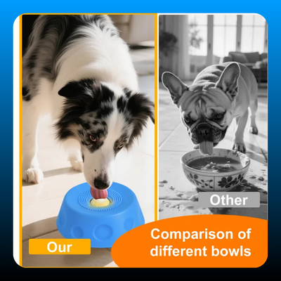 3-in-1 Suction Slow Feeder Dog Bowl
