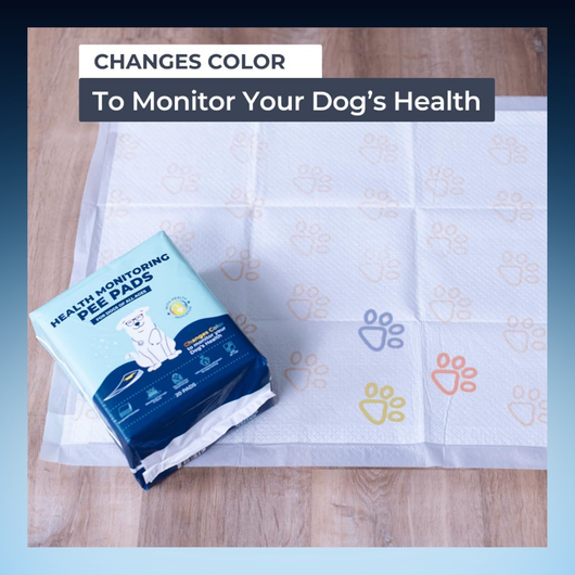 Health Monitoring Pet Pee Pads