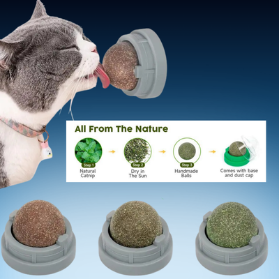 Catnip Licking Toy Balls for Cats (3 Pack)