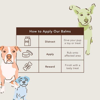 Cure Your Pet Nose Repair Cream