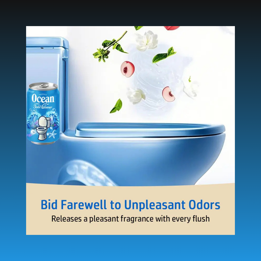 Soda Can Toilet Bowl Cleaner