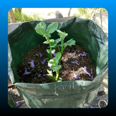 10 Gallon – Durable Garden Grow Bags (3 Pack)