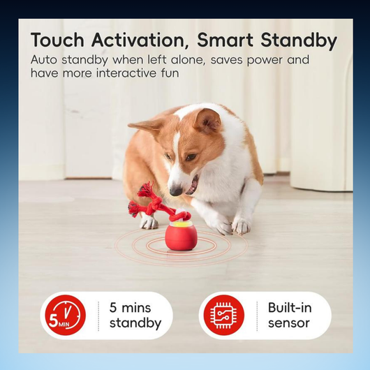 Interactive Rolling Rope Dog Toy