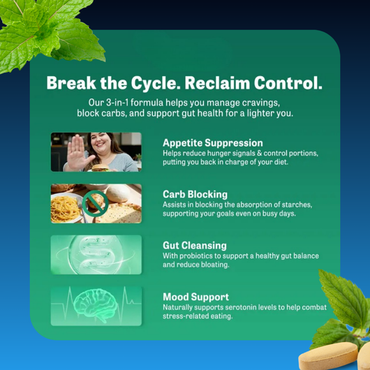 Gut Health Blend Supplement Capsules