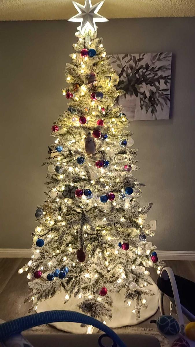 Review by Georgia J.