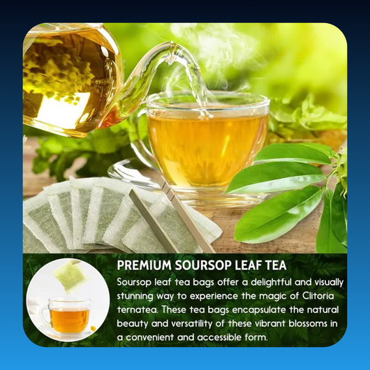 Premium Soursop Graviola Leaf Tea Bags (15 Pack)