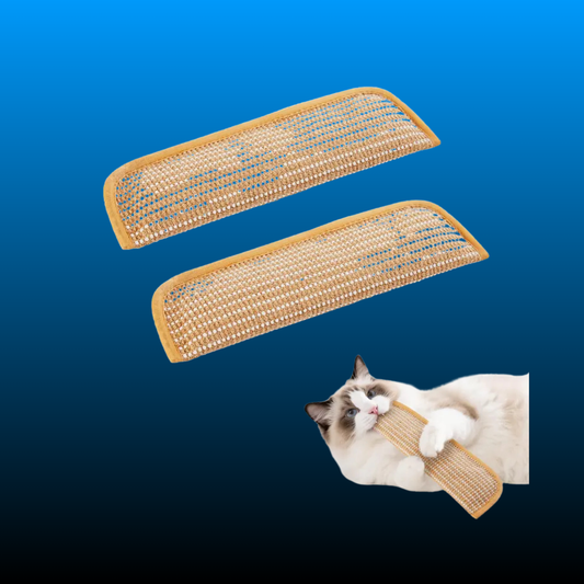 Kitten Scratching and Kicker Toy