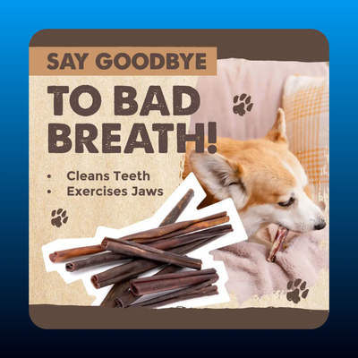 All-Natural  Grass-Fed Collagen Sticks
