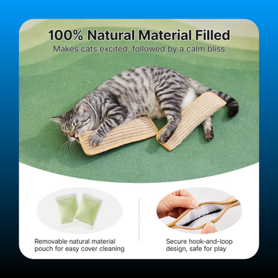 Kitten Scratching and Kicker Toy
