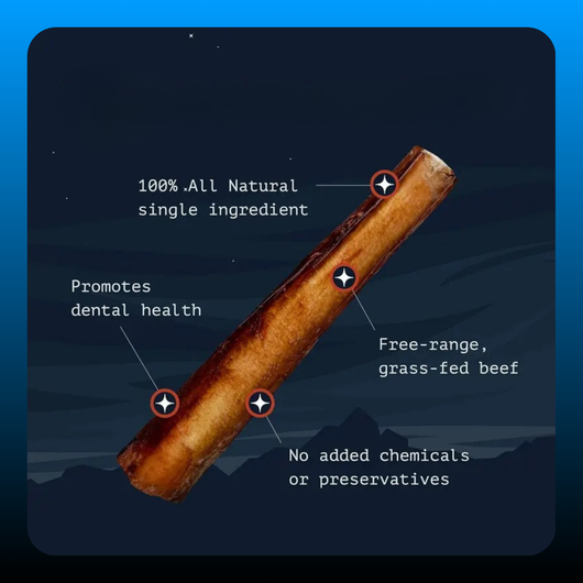 12 inch Long-Lasting Dog Chew Sticks
