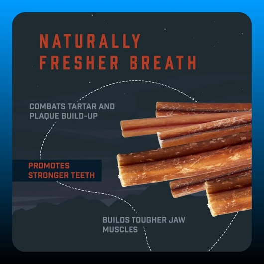 12 inch Long-Lasting Dog Chew Sticks