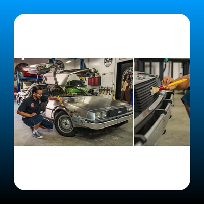 Boar's Hair Car Detailing Brush