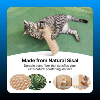 Kitten Scratching and Kicker Toy