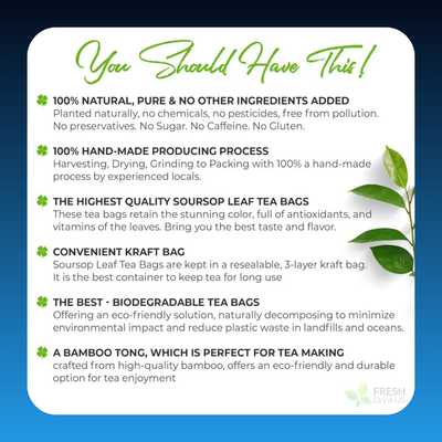 Premium Soursop Graviola Leaf Tea Bags (15 Pack)
