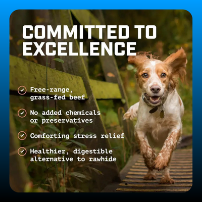12 inch Long-Lasting Dog Chew Sticks