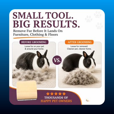 Wooden Handle Pet Grooming & Shedding Brush