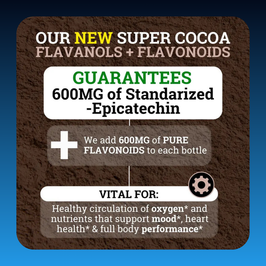 High Flavanol Cocoa Powder