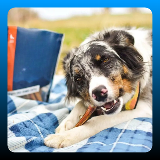 12 inch Long-Lasting Dog Chew Sticks