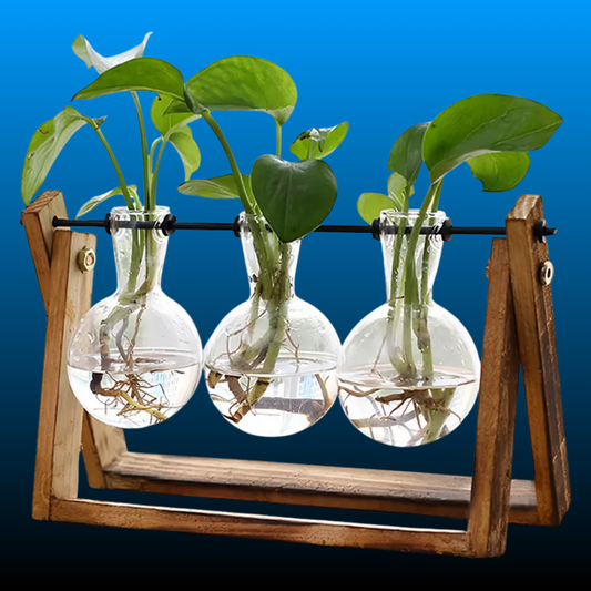 Plant Terrarium With Wooden Stand