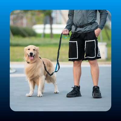 Hands Free Dog Leash with Zipper Pouch