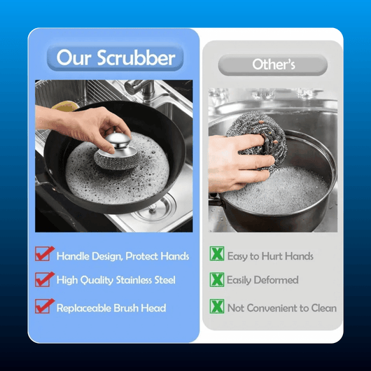 Stainless Steel Scrubber with Handle (2 Pack)