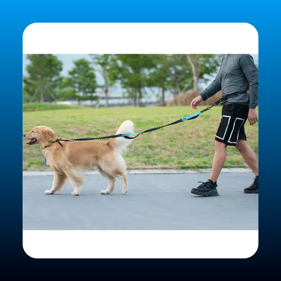Hands Free Dog Leash with Zipper Pouch