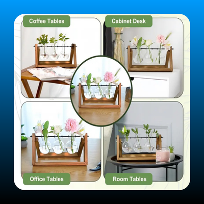 Plant Terrarium With Wooden Stand