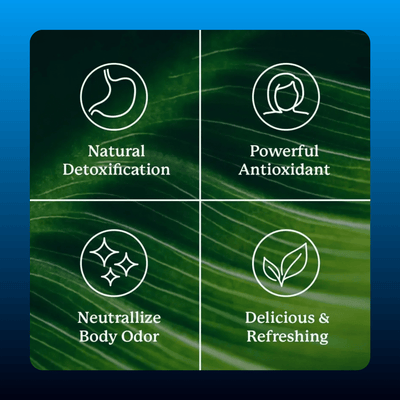 Chlorophyll Stick Packs