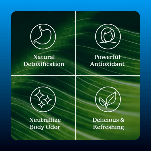 Chlorophyll Stick Packs