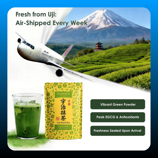 Kyoto Uji Ceremony Grade Stone-Ground Matcha Powder