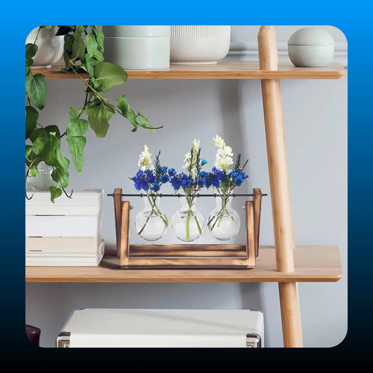 Plant Terrarium With Wooden Stand