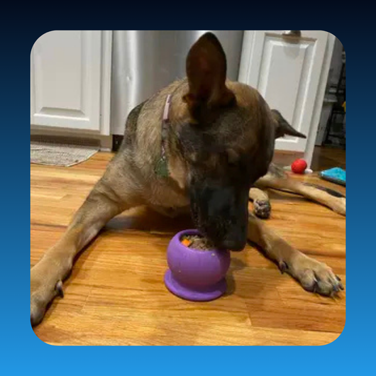 Durable Fillable Dog Chew Bone