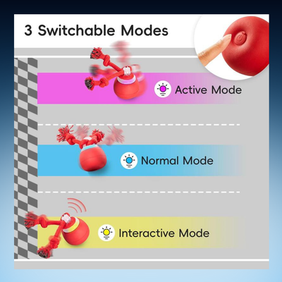 Interactive Rolling Rope Dog Toy