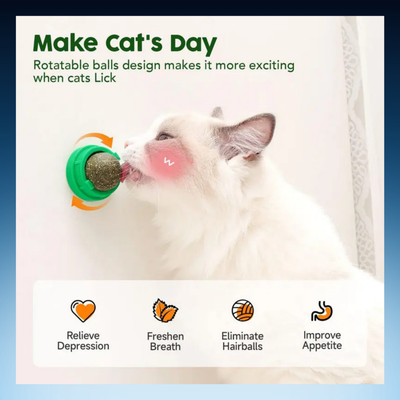 Catnip Licking Toy Balls for Cats (3 Pack)