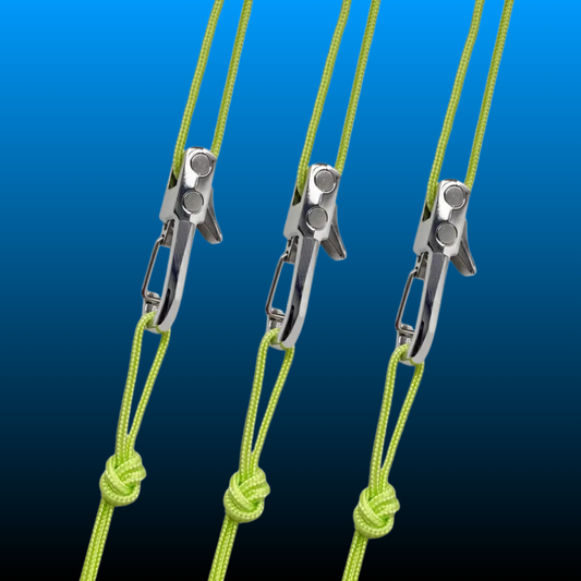 Retractable Buckle Rope (3 Pack)